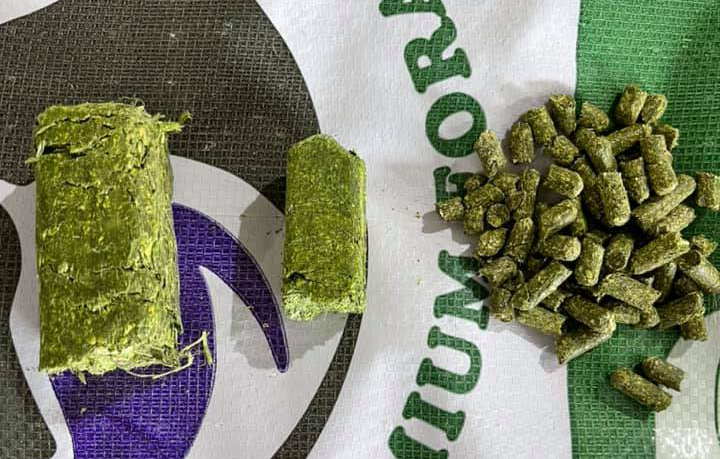 CubeIt Hay forage in three forms: full-size cubes, mini cubes, and pellets